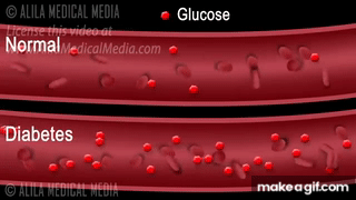 Gluco contrôle